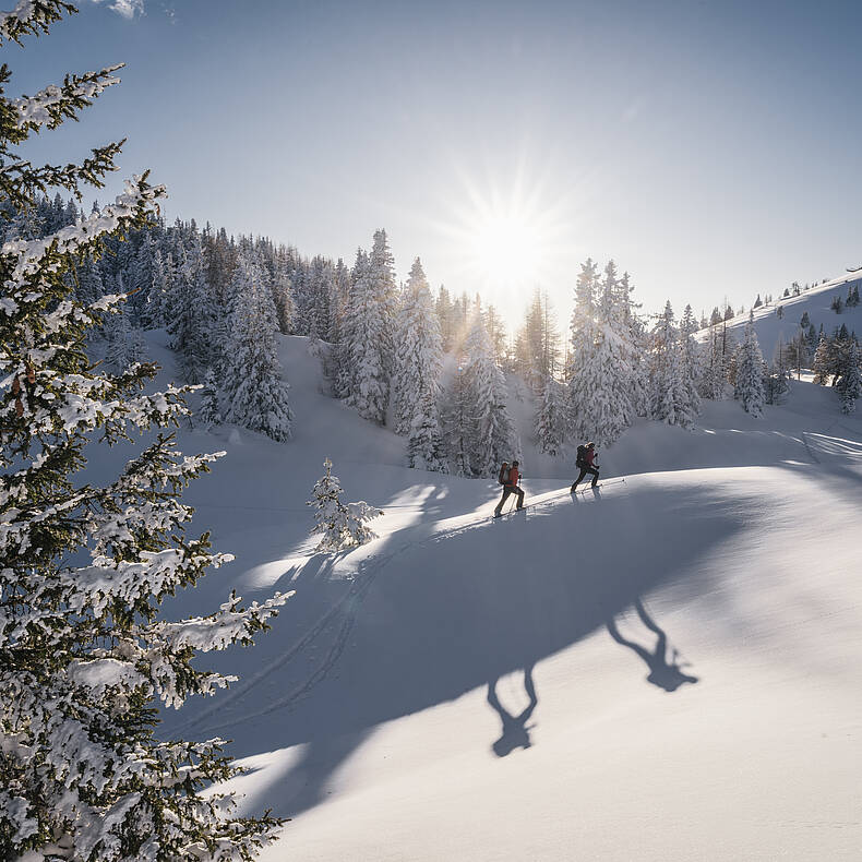 Naturpark Dobratsch